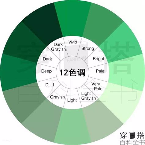 綠色代表的意思|【綠色代表意義】不可不知的「綠」色代表意涵：帶你。